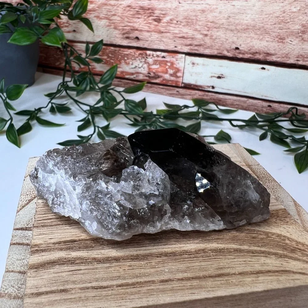 Smoky Quartz Crystal Points Cluster - Smoky Quartz Point Crystal Cluster - Picture 8 of 11